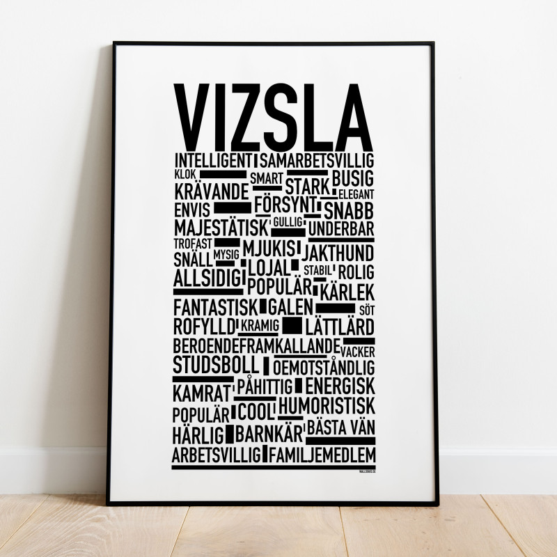 Vizsla Poster