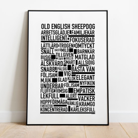 Old English Sheepdog Poster