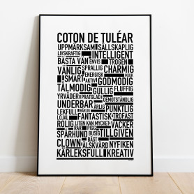 Coton De Tuléar Poster