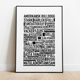 Amerikansk Bulldogg Poster