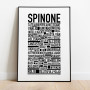 Spinone Poster