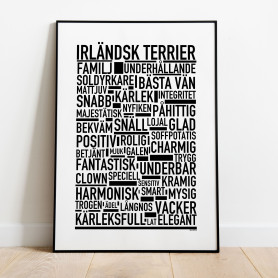 Irländsk Terrier Poster