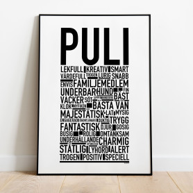 Puli Poster