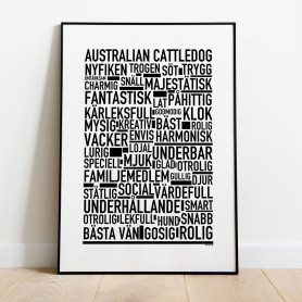 Australian Cattledog Poster
