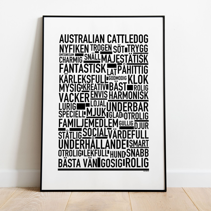 Australian Cattledog Poster