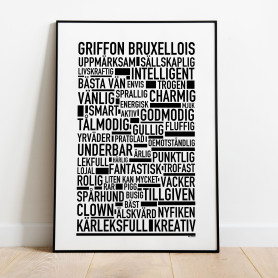 Griffon Bruxellois Poster