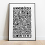Hammenhögska Poster