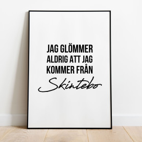 Från Skintebo