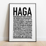 Haga Göteborg Poster