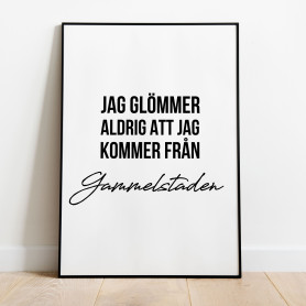 Från Gammelstaden