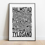 Halmstad 2020 Poster