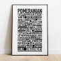 Pomeranian Poster