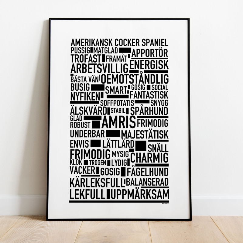 Amerikansk Cocker Spaniel