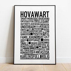 Hovawart Poster
