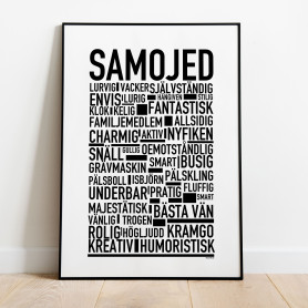 Samojed Poster