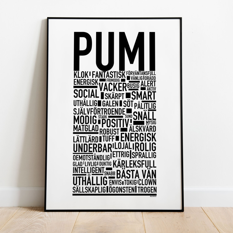 Pumi Poster