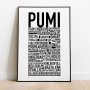 Pumi Poster