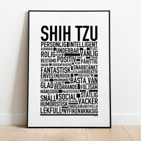 Shih Tzu Poster