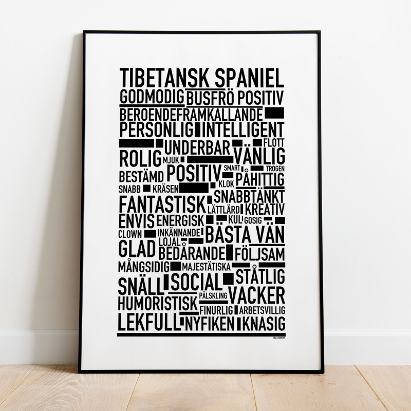 Tibetansk Spaniel Poster
