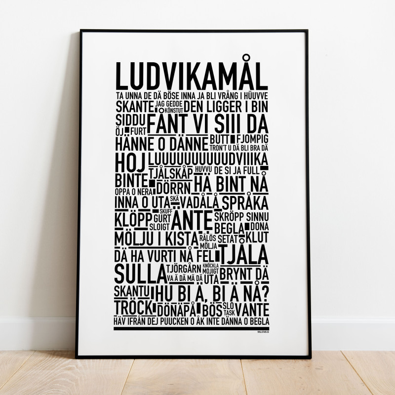 Ludvikamål Poster