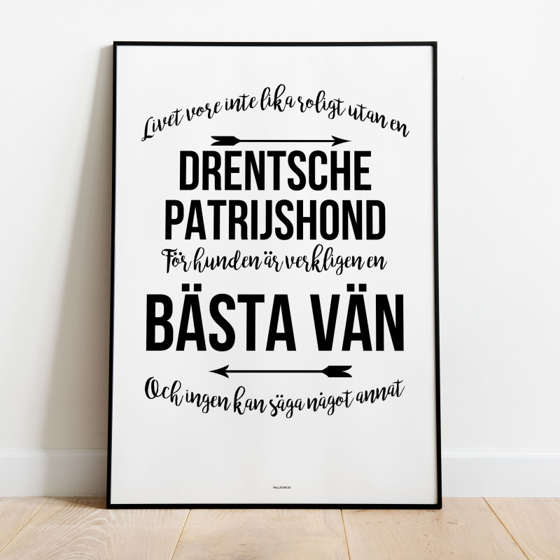 Livet Med Drentsche patrijshond