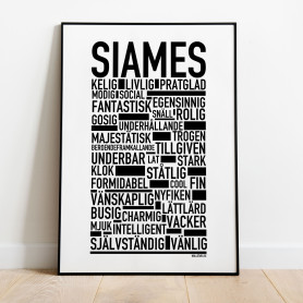 Siames Poster