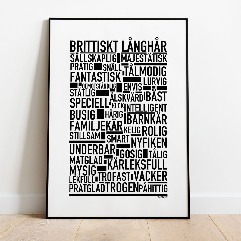 Brittiskt Långhår Poster