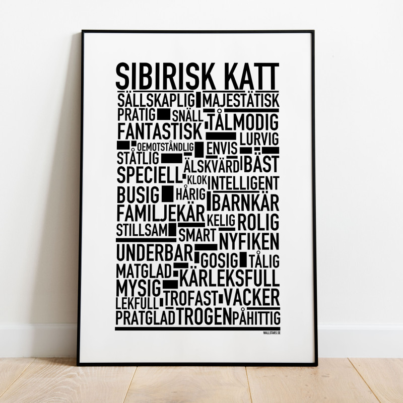 Sibirisk Katt Poster