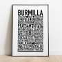 Burmilla Poster