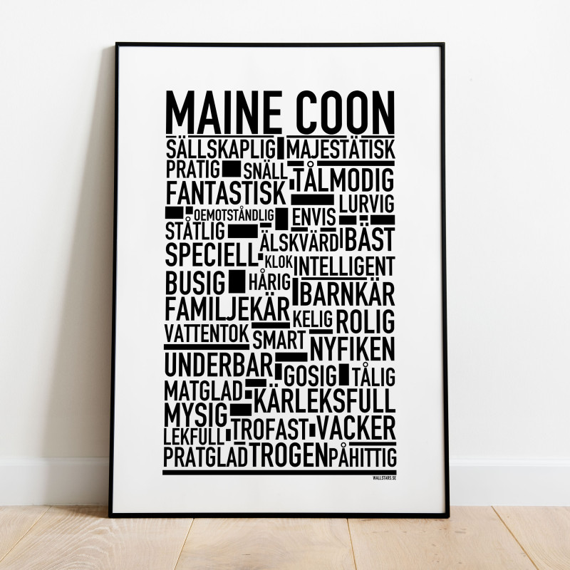 Maine Coon Poster