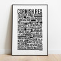 Cornish Rex Poster