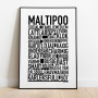 Maltipoo Poster