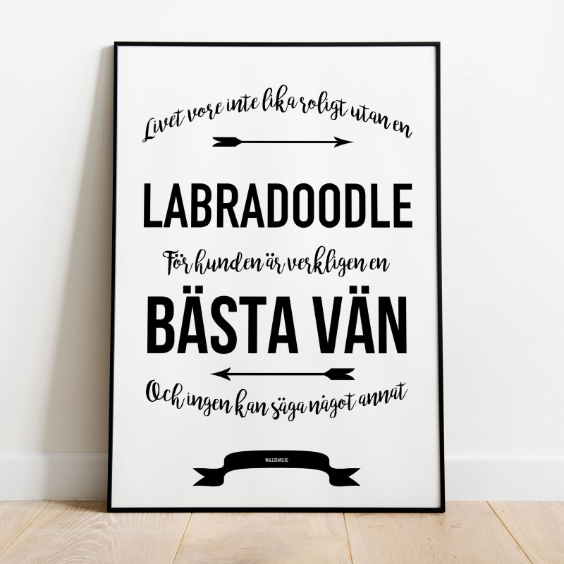 Livet Med Labradoodle