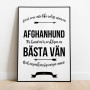 Livet Med Afghanhund