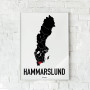 Hammarslund Heart