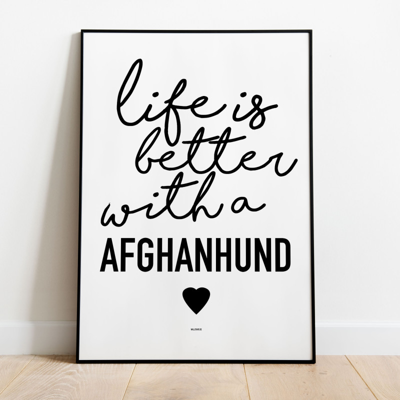Life Is Better Afghanhund