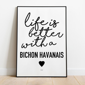 Life Is Better Bichon Havanais