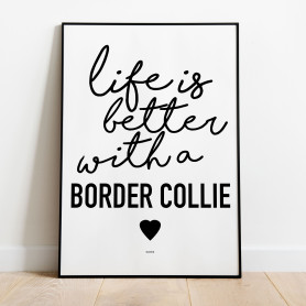 Life Is Better Bordercollie