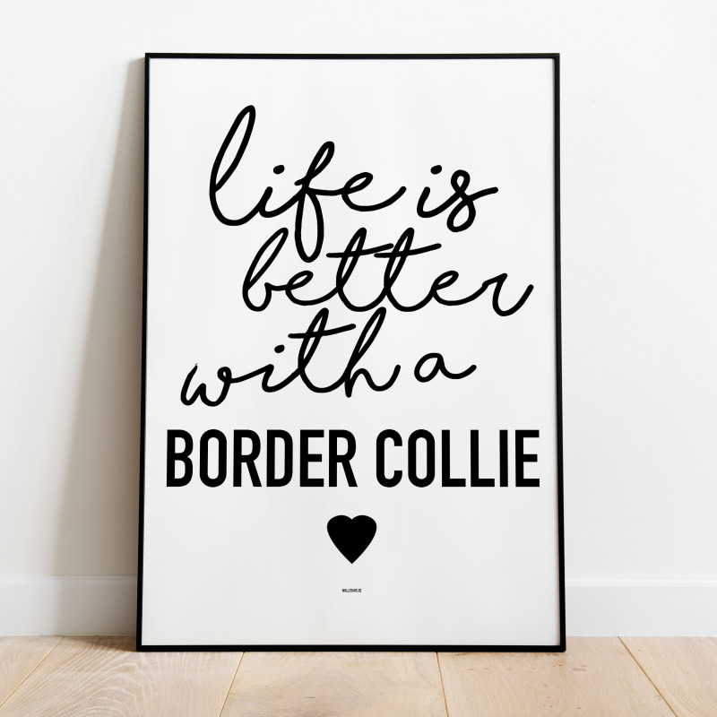 Life Is Better Bordercollie