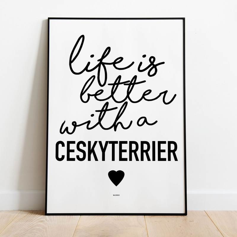 Life Is Better Ceskyterrier