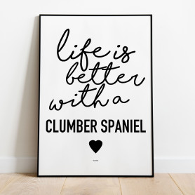 Life Is Better Clumberspaniel