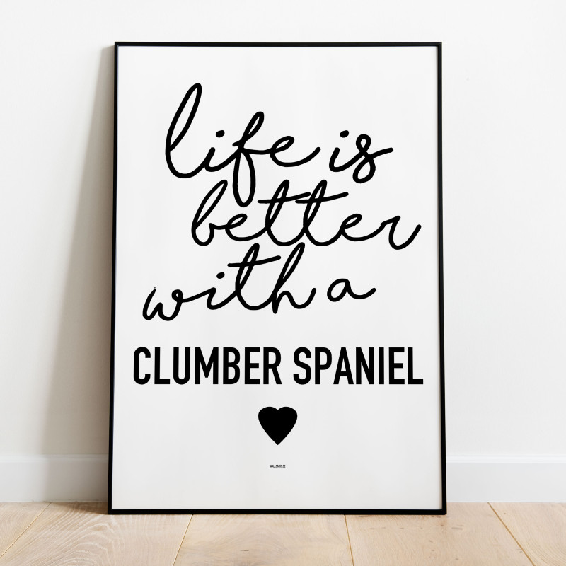 Life Is Better Clumberspaniel