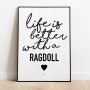 Life is better Ragdoll Poster