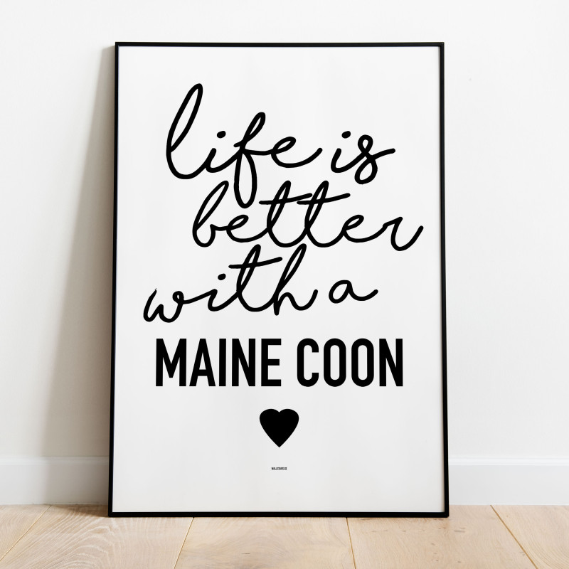 Life is better Maine Coon Poster