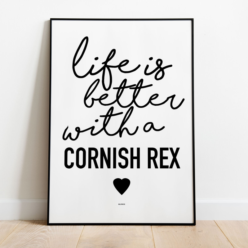 Life is better Cornish Rex Poster