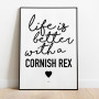 Life is better Cornish Rex Poster