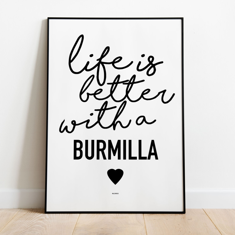 Life is better Burmilla Poster