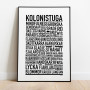 Kolonistuga Poster