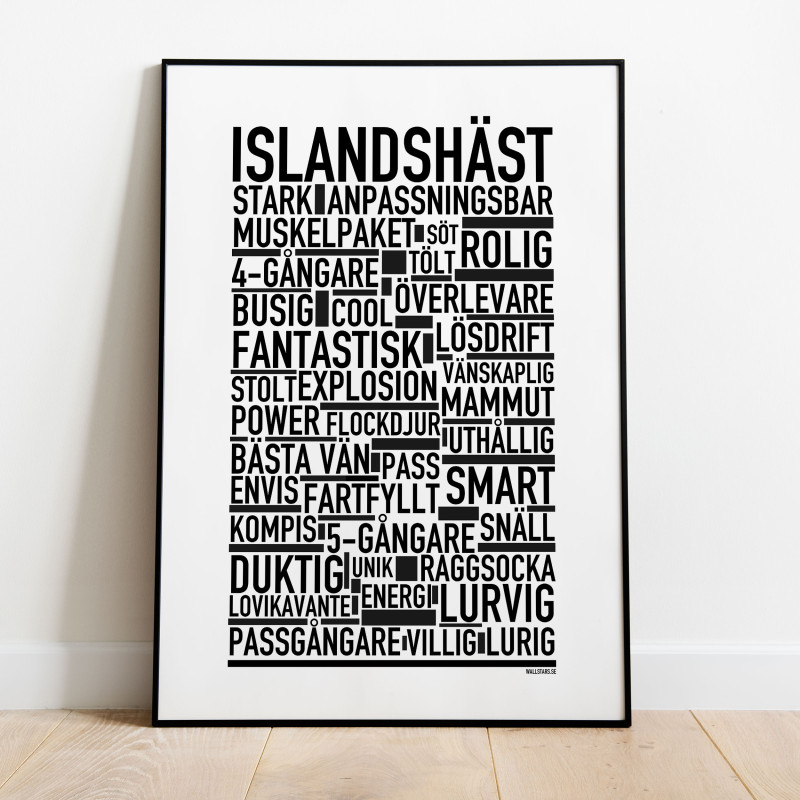 Islandshäst Poster