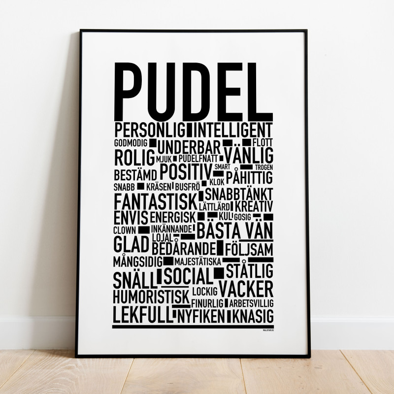 Pudel Poster